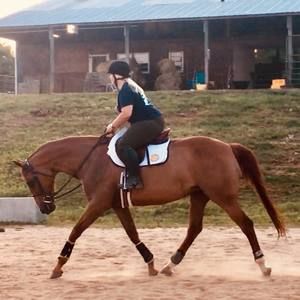 Meet your Posher, Hannah